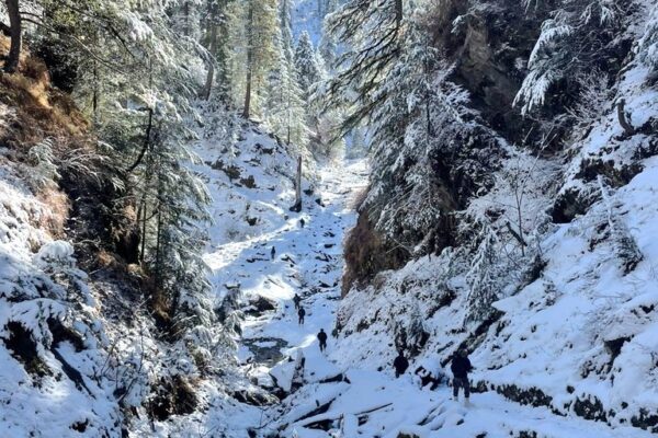 One Terrorist Killed In Army, Police’s Joint Operation In Jammu Kashmir’s Kishtwar